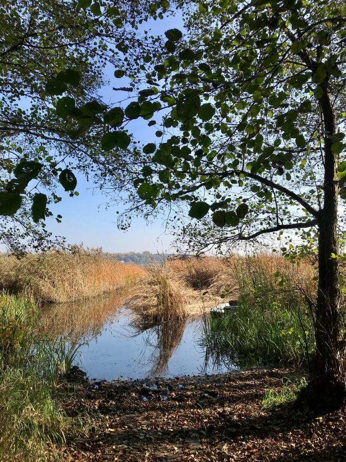 Drewniany Domek Nad Miedwiem Morzyczyn  Exteriér fotografie