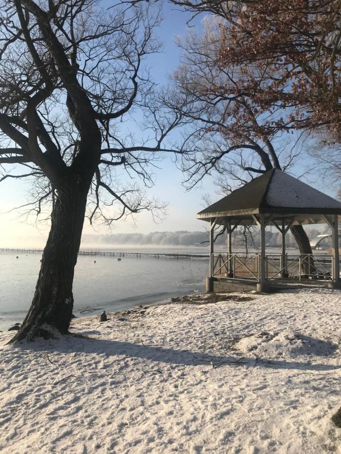 Drewniany Domek Nad Miedwiem Morzyczyn  Exteriér fotografie